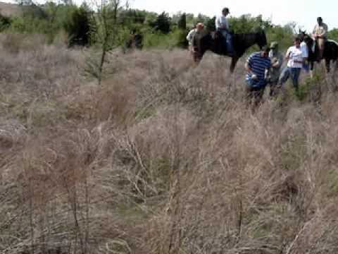 2010 AKC SPO Nationals