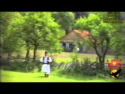 Nicu Novac - Multi ar vrea sa imi ia locul (Oficial)