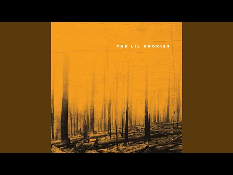 Mending The Fence - The Lil Smokies
