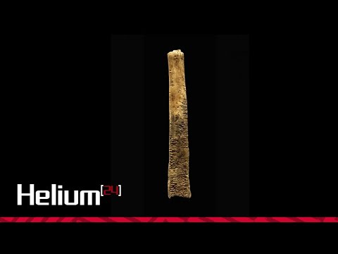 El Hueso de Ishango: Un enigma matemático de 20 000 años de antigüedad