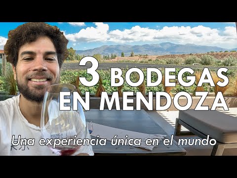 3 WINERIES in MENDOZA