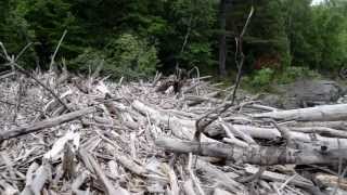 preview picture of video '500 Year Flood Debris / St Louis River'