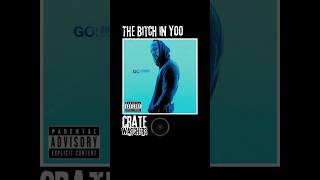 Common - The Bitch In Yoo