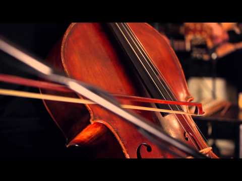 Patrick Bishop - Unplugged