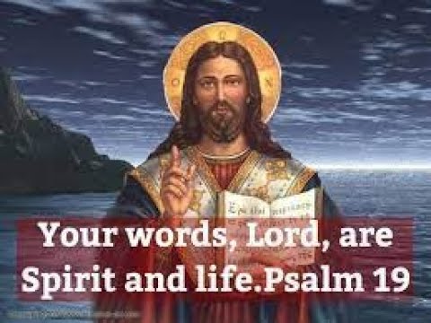 Bible in a Year - Day 206