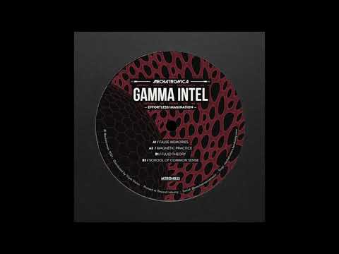 Gamma Intel - False Memories