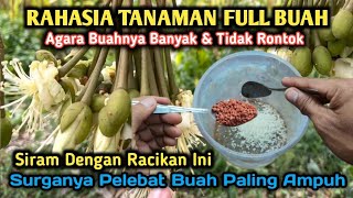 Download lagu I got goosebumps seeing the fruit after using this method. It bore lots of fruit and didn't fall ... mp3