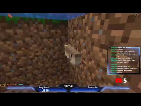 WolvMC Officiel - EVENT LIVE MINECRAFT [FR] WEWELYMPIC ANIMATION |  PLAY.WOLVMC.EU 1.16.4