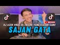DJ REMIX ACEH FULL BASS 2025 100 BIKIN GELENG GELENG SAJAN GATA AING DORIH