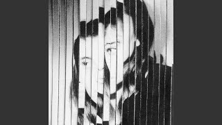 Les Tulipes Lyrics English Translation