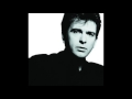 Peter Gabriel - This is the Picture (Live in Athens 1987) - Ocean Drive Sound Peter Gabriel - This is the Picture (Live in Athens 1987)