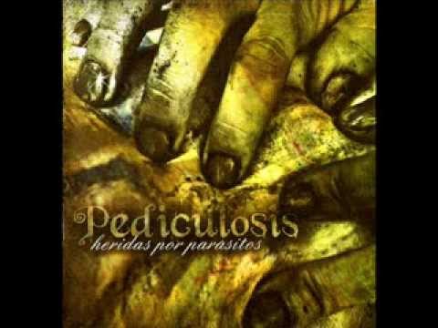 pediculosis - ( heridas por parasitos)