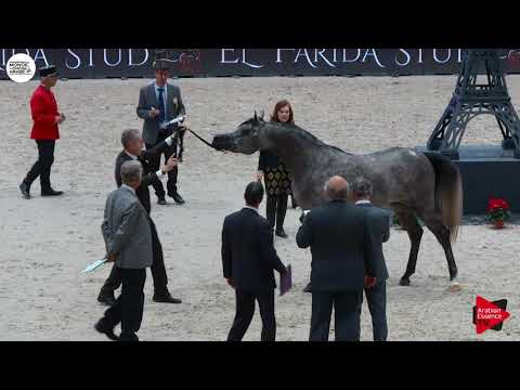 N.125 D ARGHAD - Paris 2018 - Junior Colts (Class CM 5B)