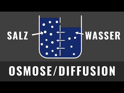 Osmosis and Diffusion | Quickly and easily explained | Biology Abitur