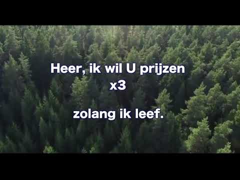 Opwekking 399 Vader God