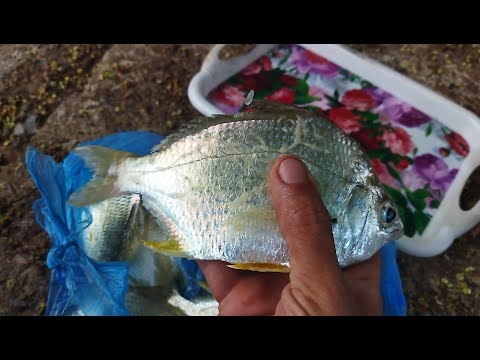 Saindo da Barra do Quaraí pra Florianópolis