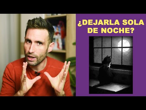 ¿Es malo que deje a mi gato solo de noche en otra habitación?