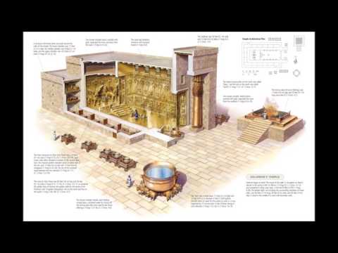 Perašat Wajjiqra 24/54 (III Knjiga Mojsijeva 1:1-5:26)