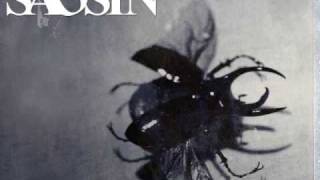 saosin - bury your head (with cove and anthony)
