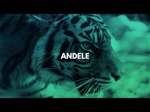 Afro Trap Instrumental 2019 ''Andele'' [Agressive Afrobeat Type Beat]