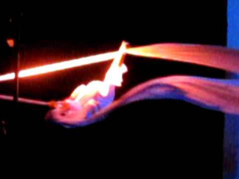 Gwen Aerial Acrobatic Silk Climbing Performance rehearsal to Neela Drifts