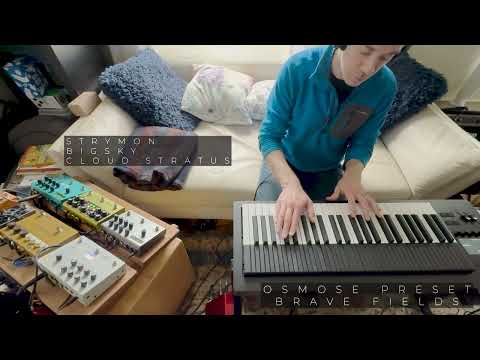 Expressive E Osmose with Strymon & Microcosm Pedals - Timeline, Volante, & BigSky!