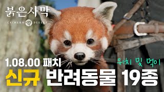 유튜브 썸네일