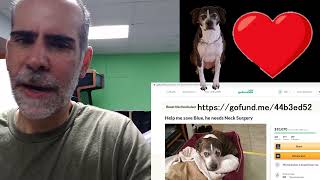 September 5th GRS Studio Flood and Blue update