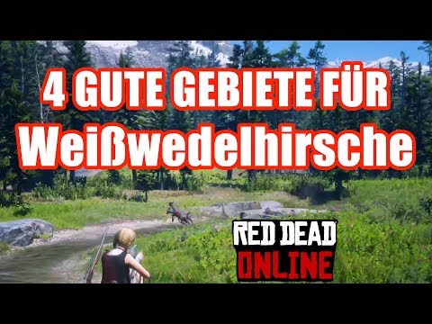 Weißwedelhirsche 4 gute Gebiete Hirsche Hirsch Red Dead Redemption 2 Online
