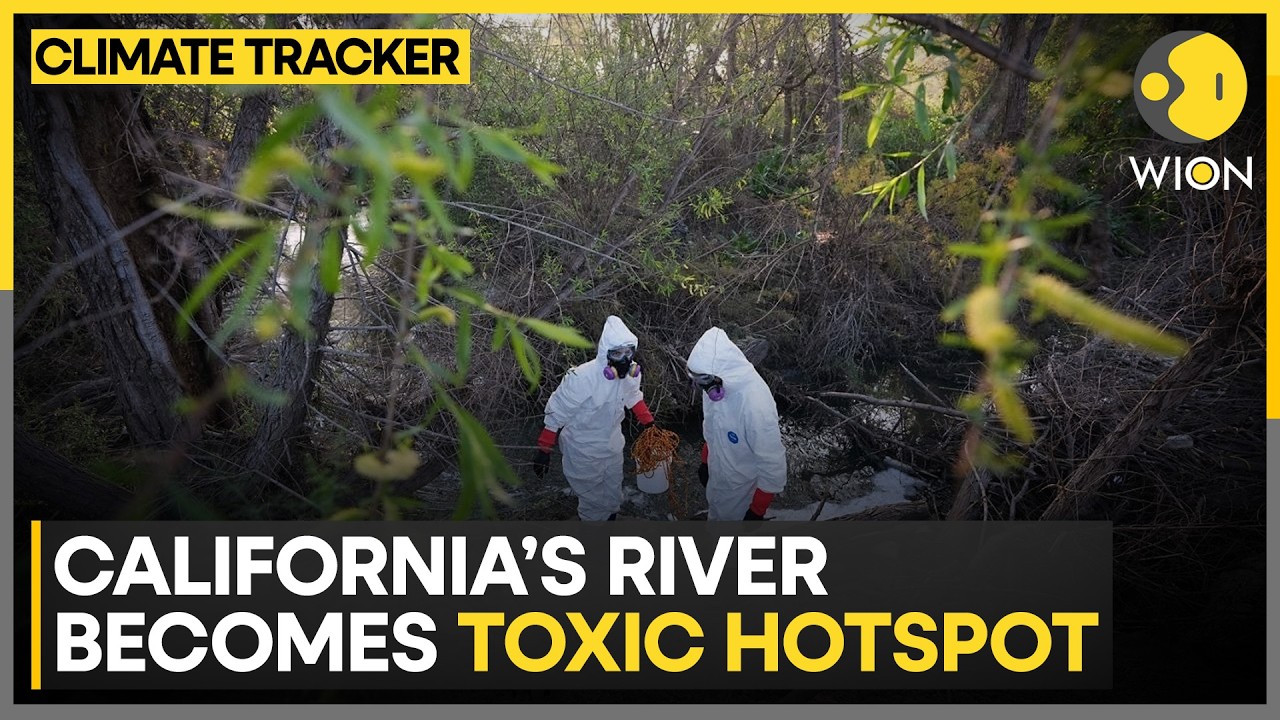 California: Sewage Surge Sparks Health Nightmare | WION Climate Tracker