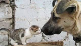 The Sutherland Brothers - Real Love (1972)