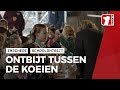 Deze leerlingen uit Enschede eten in de koeienstal