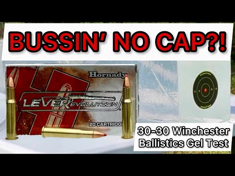 LONG RANGE 30-30?! 30-30 Hornady LeverEvolution 160gr FTX Ammo Test