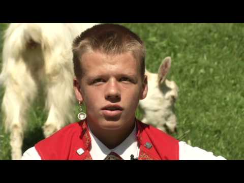 Appenzeller erzählt auf der Alp einen Witz