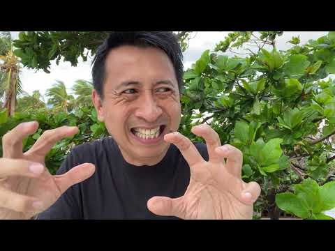 download lagu mp3 mp4 Bo Sanchez, download lagu Bo Sanchez gratis, unduh video klip Bo Sanchez