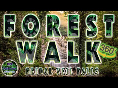 🇨🇦🏔(VR 360° Virtual Forest Walk |Virtual Nature Walk 360°) Bridal Veil Falls, Rosedale, Canada