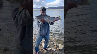 Fishing For Amazing Colorado Trout By Seven: 11 Mile Reservoir In Lake George, Colorado: #fishing