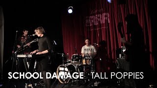 School Damage - 'Tall Poppies' (Live at 3RRR)