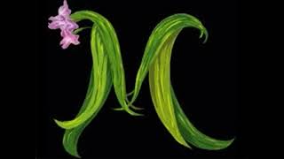 BSOD Alphabet RUBIX.flv