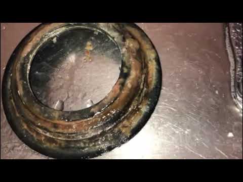 Dirty Garage Disposal Causes Fruit Flies in Sea Girt, NJ