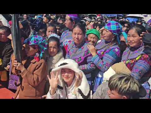 Vim peb tsis yog nej pab : tub lauj tub yias lauj 