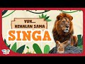 Mengenal Hewan SINGA Belajar Tentang Singa Untuk Anak Anak Belajar Nama Binatang