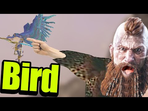 Guys Look A Bird!