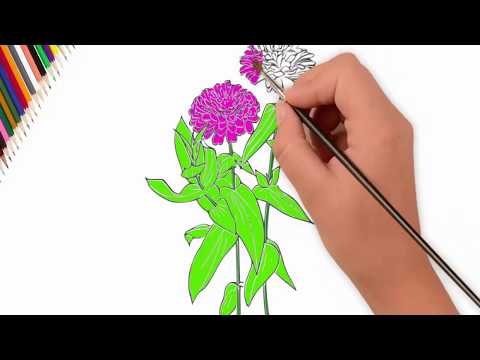 flower coloring pages for kids Video