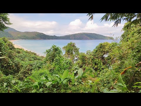 Hill View of Secret Beach 4K - Relaxing, Calming, Ambiance