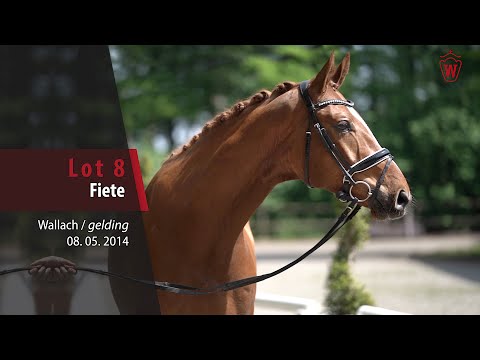 08 Fiete Wallach v. Floriscount - Lauries Crusador xx