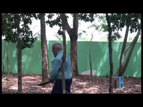 Jaime David Fernández Mirabal está loco de atar