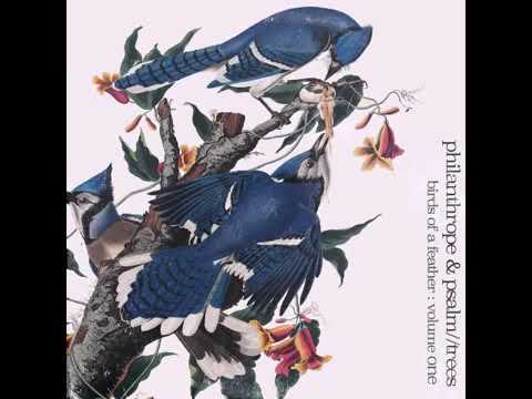 Philanthrope & Psalm Trees   Birds of a Feather Full Album