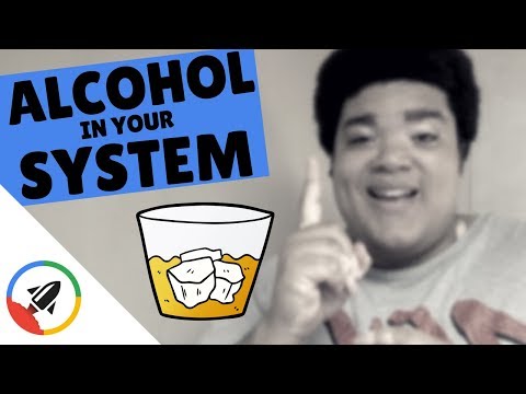 download lagu mp3 mp4 How Long Does Alcohol Take To Wear Off, download lagu How Long Does Alcohol Take To Wear Off gratis, unduh video klip How Long Does Alcohol Take To Wear Off