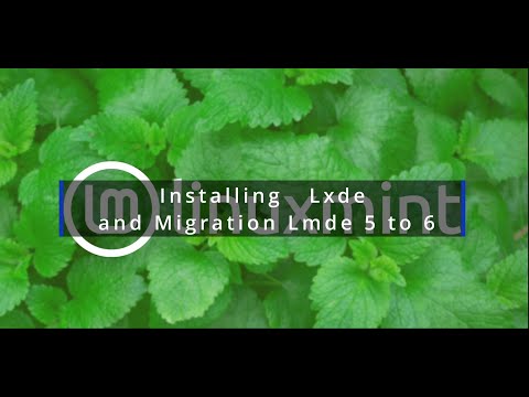 Installing Lxde and Migration Lmde 5 to 6